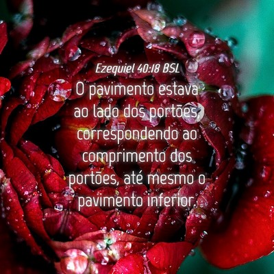 Picture 04 - Ezequiel 40:18 BSL - O pavimento estava ao lado dos portões, - Bible Verse Picture
