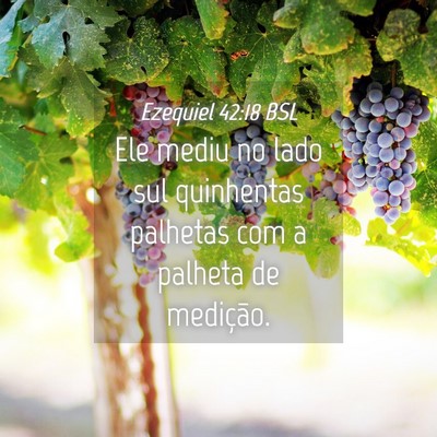 Picture 04 - Ezequiel 42:18 BSL - Ele mediu no lado sul quinhentas palhetas com a - Bible Verse Picture