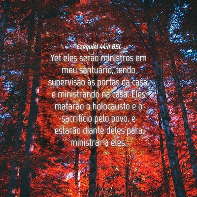 Picture 04 - Ezequiel 44:11 BSL - Yet eles serão ministros em meu santuário, - Bible Verse Picture