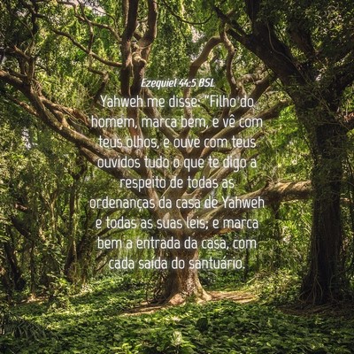 Picture 04 - Ezequiel 44:5 BSL - Yahweh me disse: “Filho do homem, marca bem, e - Bible Verse Picture