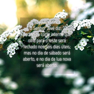 Picture 04 - Ezequiel 46:1 BSL - “'O Senhor Javé diz: “O portão da corte - Bible Verse Picture