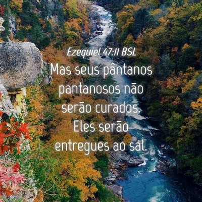 Picture 04 - Ezequiel 47:11 BSL - Mas seus pântanos pantanosos não serão - Bible Verse Picture