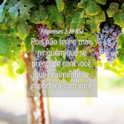Picture 04 - Filipenses 2:20 BSL - Pois não tenho mais ninguém que se preocupe com - Bible Verse Picture