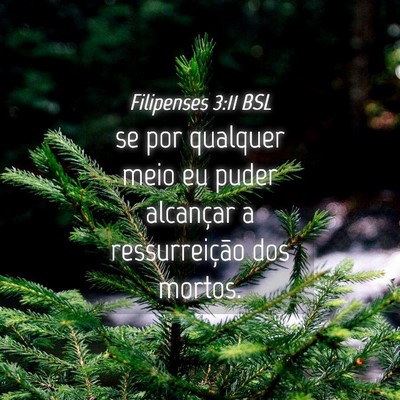 Picture 04 - Filipenses 3:11 BSL - se por qualquer meio eu puder alcançar a - Bible Verse Picture