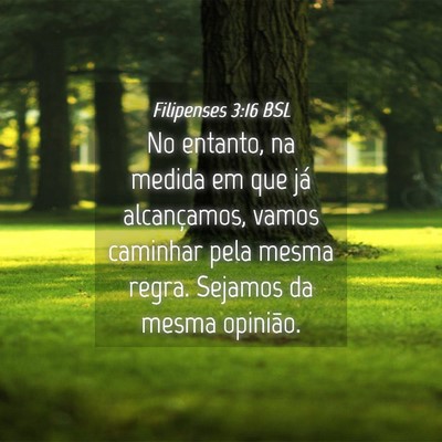 Picture 04 - Filipenses 3:16 BSL - No entanto, na medida em que já alcançamos, - Bible Verse Picture