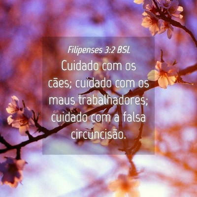 Picture 04 - Filipenses 3:2 BSL - Cuidado com os cães; cuidado com os maus - Bible Verse Picture