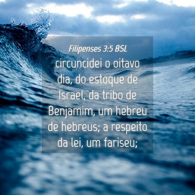 Picture 04 - Filipenses 3:5 BSL - circuncidei o oitavo dia, do estoque de Israel, - Bible Verse Picture