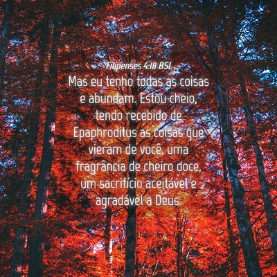 Picture 04 - Filipenses 4:18 BSL - Mas eu tenho todas as coisas e abundam. Estou - Bible Verse Picture
