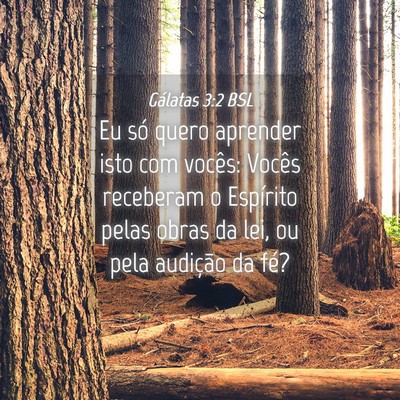 Picture 04 - Gálatas 3:2 BSL - Eu só quero aprender isto com vocês: Vocês - Bible Verse Picture