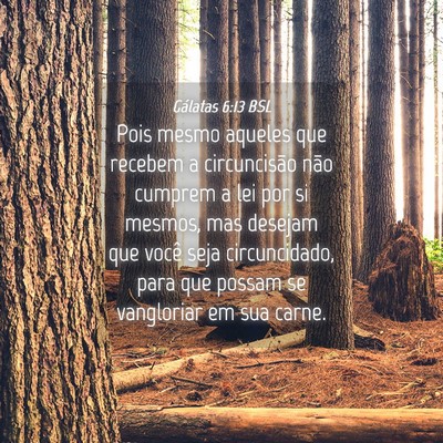 Picture 04 - Gálatas 6:13 BSL - Pois mesmo aqueles que recebem a circuncisão - Bible Verse Picture