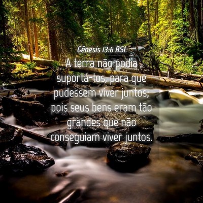 Picture 04 - Gênesis 13:6 BSL - A terra não podia suportá-los, para que - Bible Verse Picture
