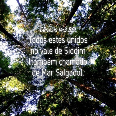 Picture 04 - Gênesis 14:3 BSL - Todos estes unidos no vale de Siddim (também - Bible Verse Picture