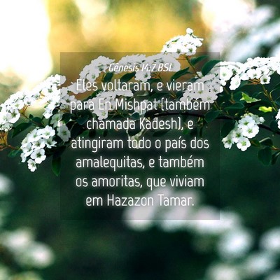 Picture 04 - Gênesis 14:7 BSL - Eles voltaram, e vieram para En Mishpat (também - Bible Verse Picture