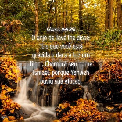 Picture 04 - Gênesis 16:11 BSL - O anjo de Javé lhe disse: “Eis que você está - Bible Verse Picture