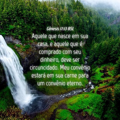 Picture 04 - Gênesis 17:13 BSL - Aquele que nasce em sua casa, e aquele que é - Bible Verse Picture