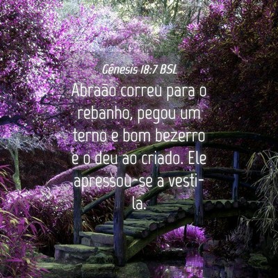 Picture 04 - Gênesis 18:7 BSL - Abraão correu para o rebanho, pegou um terno e - Bible Verse Picture