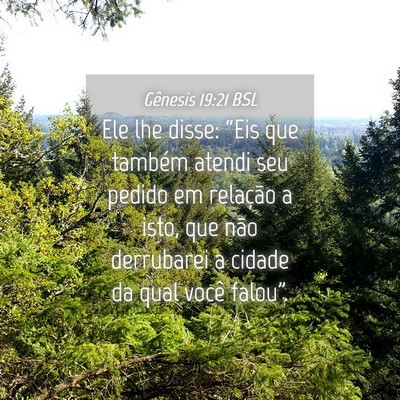 Picture 04 - Gênesis 19:21 BSL - Ele lhe disse: “Eis que também atendi seu - Bible Verse Picture