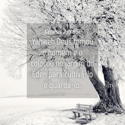 Picture 04 - Gênesis 2:15 BSL - Yahweh Deus tomou o homem e o colocou no jardim - Bible Verse Picture