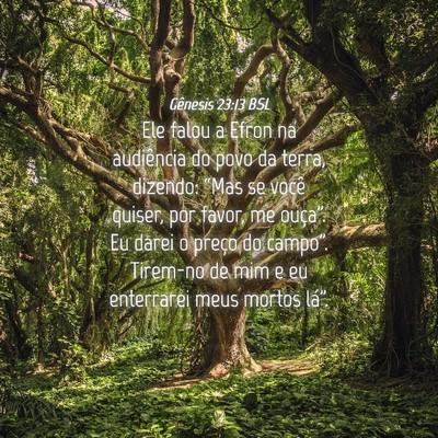 Picture 04 - Gênesis 23:13 BSL - Ele falou a Efron na audiência do povo da terra, - Bible Verse Picture