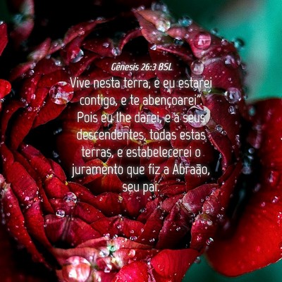 Picture 04 - Gênesis 26:3 BSL - Vive nesta terra, e eu estarei contigo, e te - Bible Verse Picture