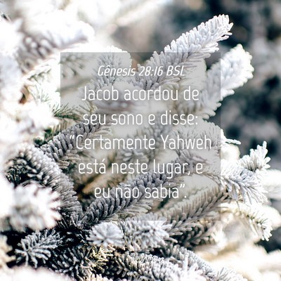 Picture 04 - Gênesis 28:16 BSL - Jacob acordou de seu sono e disse: “Certamente - Bible Verse Picture
