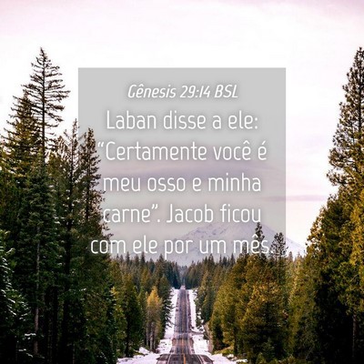 Picture 04 - Gênesis 29:14 BSL - Laban disse a ele: “Certamente você é meu - Bible Verse Picture