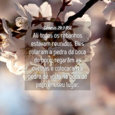 Picture 04 - Gênesis 29:3 BSL - Ali todos os rebanhos estavam reunidos. Eles - Bible Verse Picture