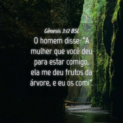 Picture 04 - Gênesis 3:12 BSL - O homem disse: “A mulher que você deu para - Bible Verse Picture