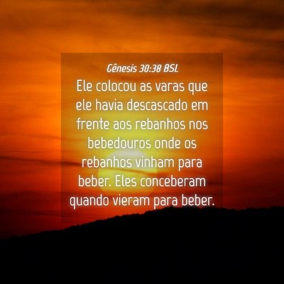 Picture 04 - Gênesis 30:38 BSL - Ele colocou as varas que ele havia descascado em - Bible Verse Picture