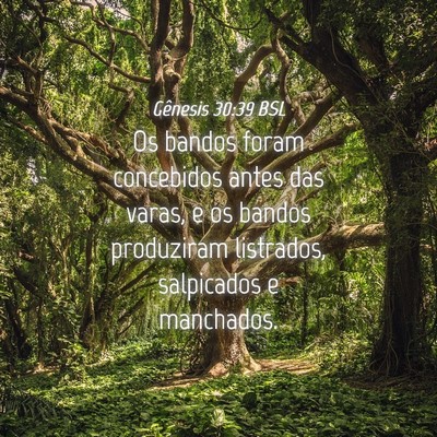 Picture 04 - Gênesis 30:39 BSL - Os bandos foram concebidos antes das varas, e os - Bible Verse Picture