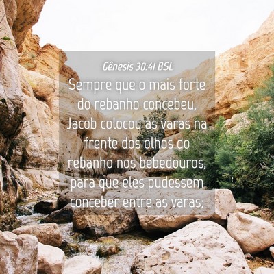 Picture 04 - Gênesis 30:41 BSL - Sempre que o mais forte do rebanho concebeu, - Bible Verse Picture
