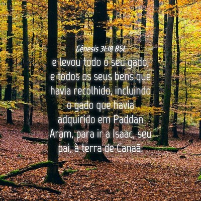 Picture 04 - Gênesis 31:18 BSL - e levou todo o seu gado, e todos os seus bens que - Bible Verse Picture