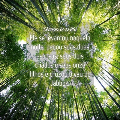 Picture 04 - Gênesis 32:22 BSL - Ele se levantou naquela noite, pegou suas duas - Bible Verse Picture