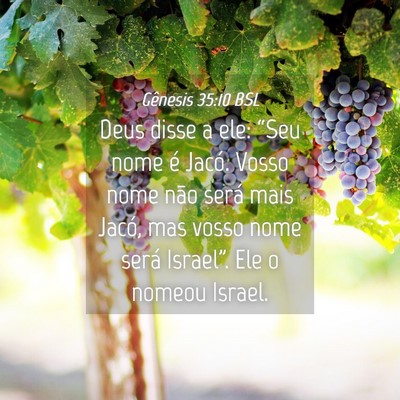 Picture 04 - Gênesis 35:10 BSL - Deus disse a ele: “Seu nome é Jacó. Vosso - Bible Verse Picture