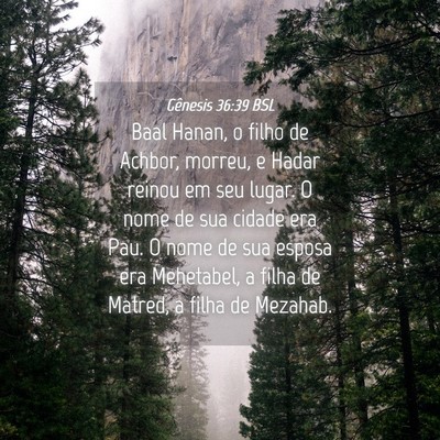 Picture 04 - Gênesis 36:39 BSL - Baal Hanan, o filho de Achbor, morreu, e Hadar - Bible Verse Picture