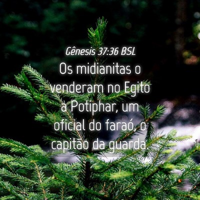 Picture 04 - Gênesis 37:36 BSL - Os midianitas o venderam no Egito a Potiphar, um - Bible Verse Picture