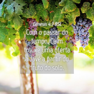 Picture 04 - Gênesis 4:3 BSL - Com o passar do tempo, Caim trouxe uma oferta a - Bible Verse Picture