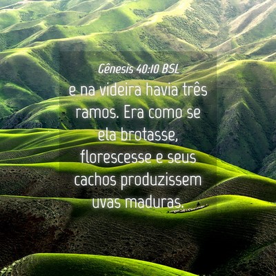 Picture 04 - Gênesis 40:10 BSL - e na videira havia três ramos. Era como se ela - Bible Verse Picture