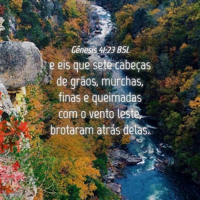 Picture 04 - Gênesis 41:23 BSL - e eis que sete cabeças de grãos, murchas, finas - Bible Verse Picture