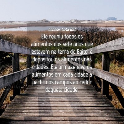 Picture 04 - Gênesis 41:48 BSL - Ele reuniu todos os alimentos dos sete anos que - Bible Verse Picture