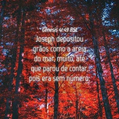 Picture 04 - Gênesis 41:49 BSL - Joseph depositou grãos como a areia do mar, - Bible Verse Picture