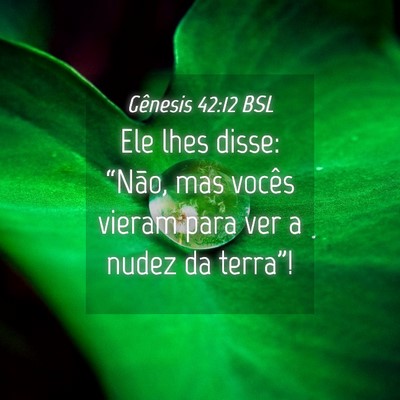 Picture 04 - Gênesis 42:12 BSL - Ele lhes disse: “Não, mas vocês vieram para - Bible Verse Picture