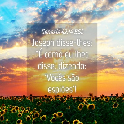 Picture 04 - Gênesis 42:14 BSL - Joseph disse-lhes: “É como eu lhes disse, - Bible Verse Picture