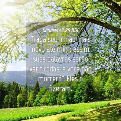 Picture 04 - Gênesis 42:20 BSL - Traga seu irmão mais novo até mim; assim suas - Bible Verse Picture