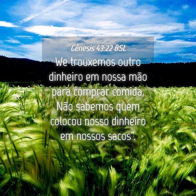 Picture 04 - Gênesis 43:22 BSL - We trouxemos outro dinheiro em nossa mão para - Bible Verse Picture