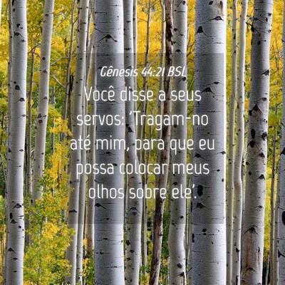 Picture 04 - Gênesis 44:21 BSL - Você disse a seus servos: 'Tragam-no até mim, - Bible Verse Picture