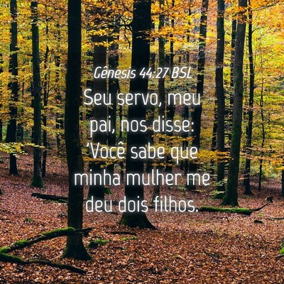Picture 04 - Gênesis 44:27 BSL - Seu servo, meu pai, nos disse: 'Você sabe que - Bible Verse Picture