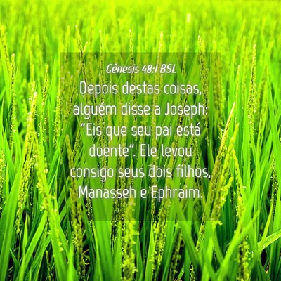 Picture 04 - Gênesis 48:1 BSL - Depois destas coisas, alguém disse a Joseph: - Bible Verse Picture
