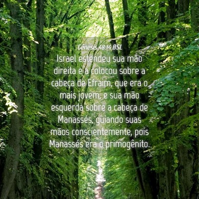 Picture 04 - Gênesis 48:14 BSL - Israel estendeu sua mão direita e a colocou - Bible Verse Picture
