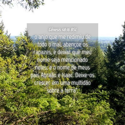 Picture 04 - Gênesis 48:16 BSL - o anjo que me redimiu de todo o mal, abençoe os - Bible Verse Picture